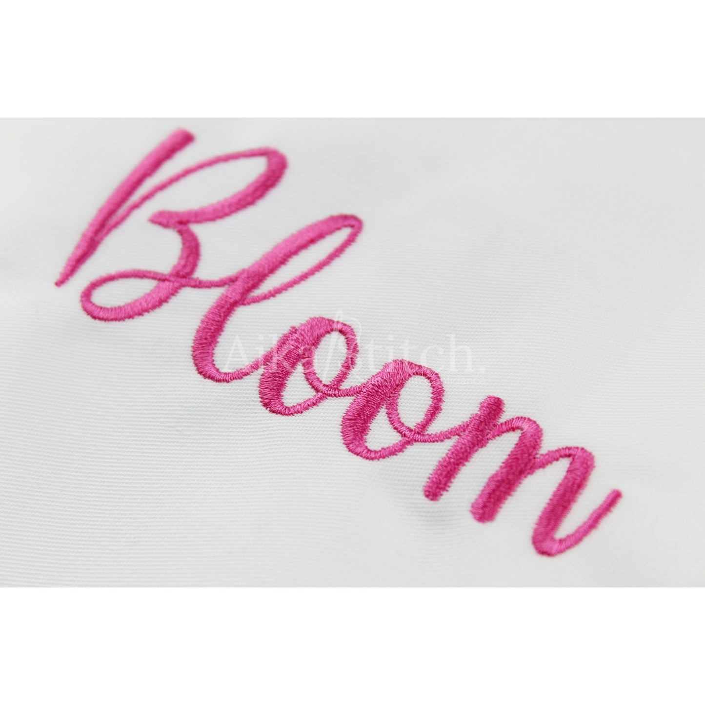 Cailyn Bloom Script Handwritten Embroidery Font | Native BX Included