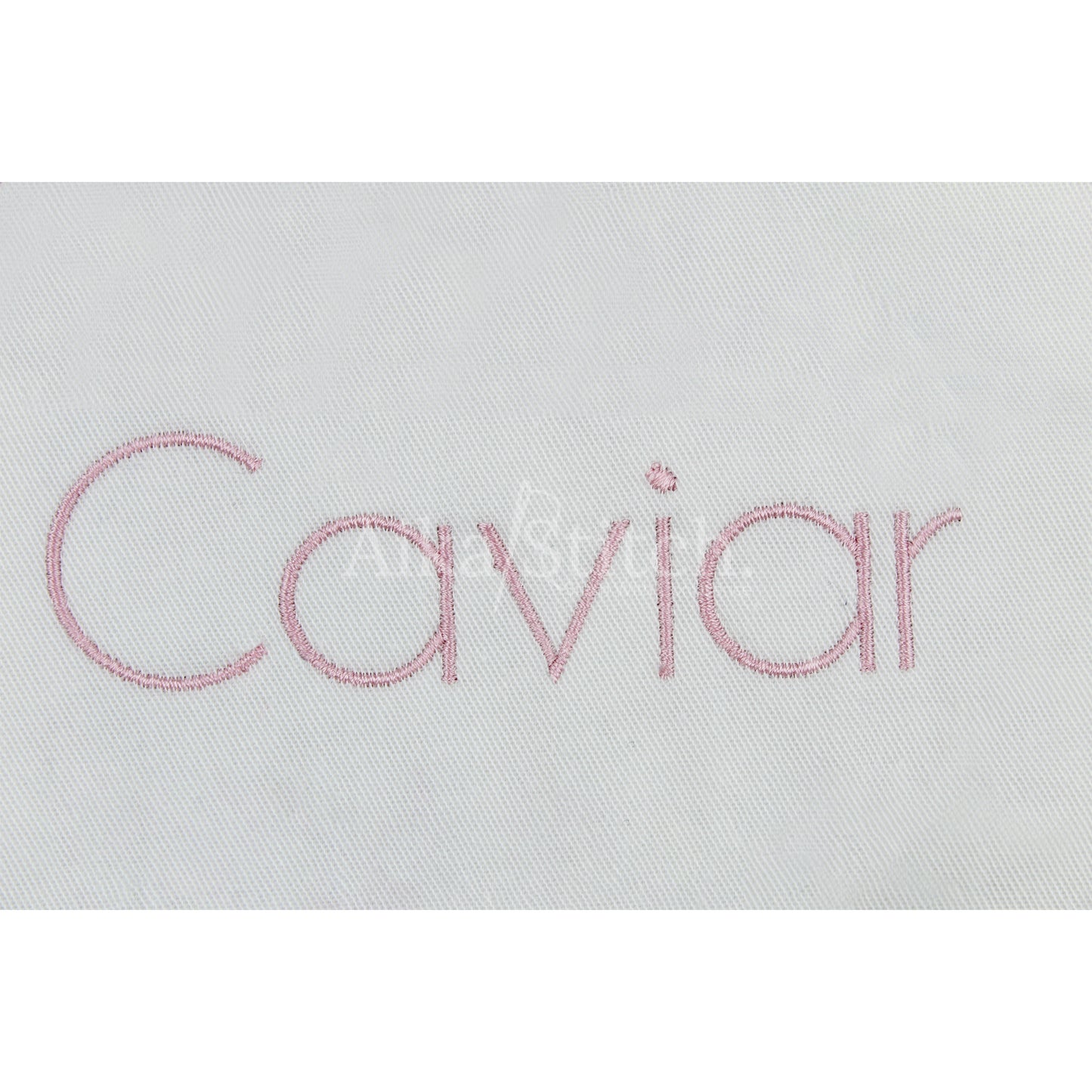 Caviar Basic Modern Embroidery Font | Native BX Included