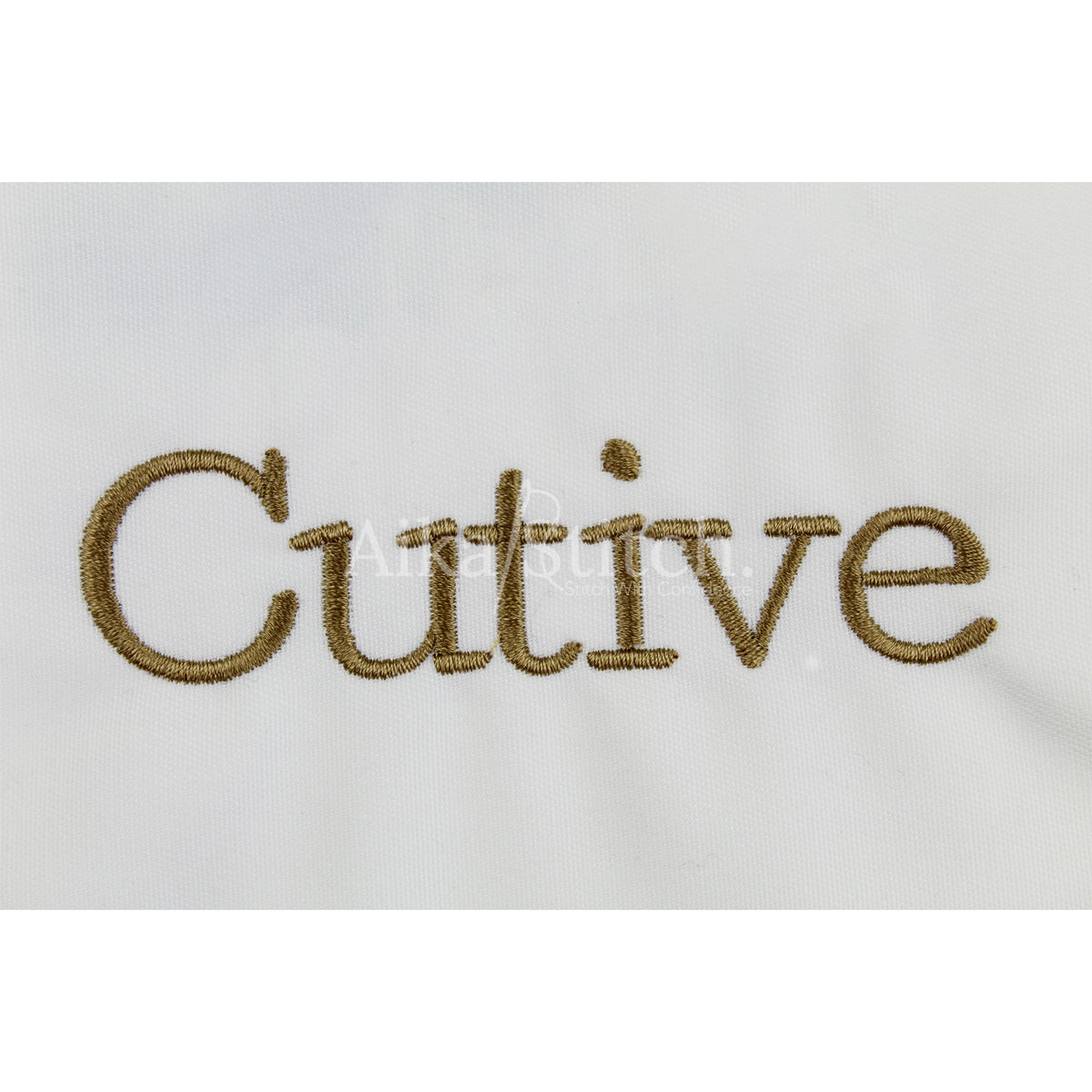 Cutive Classic Vintage Embroidery Font | Native BX Included