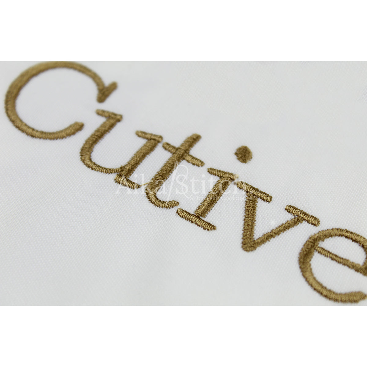 Cutive Classic Vintage Embroidery Font | Native BX Included