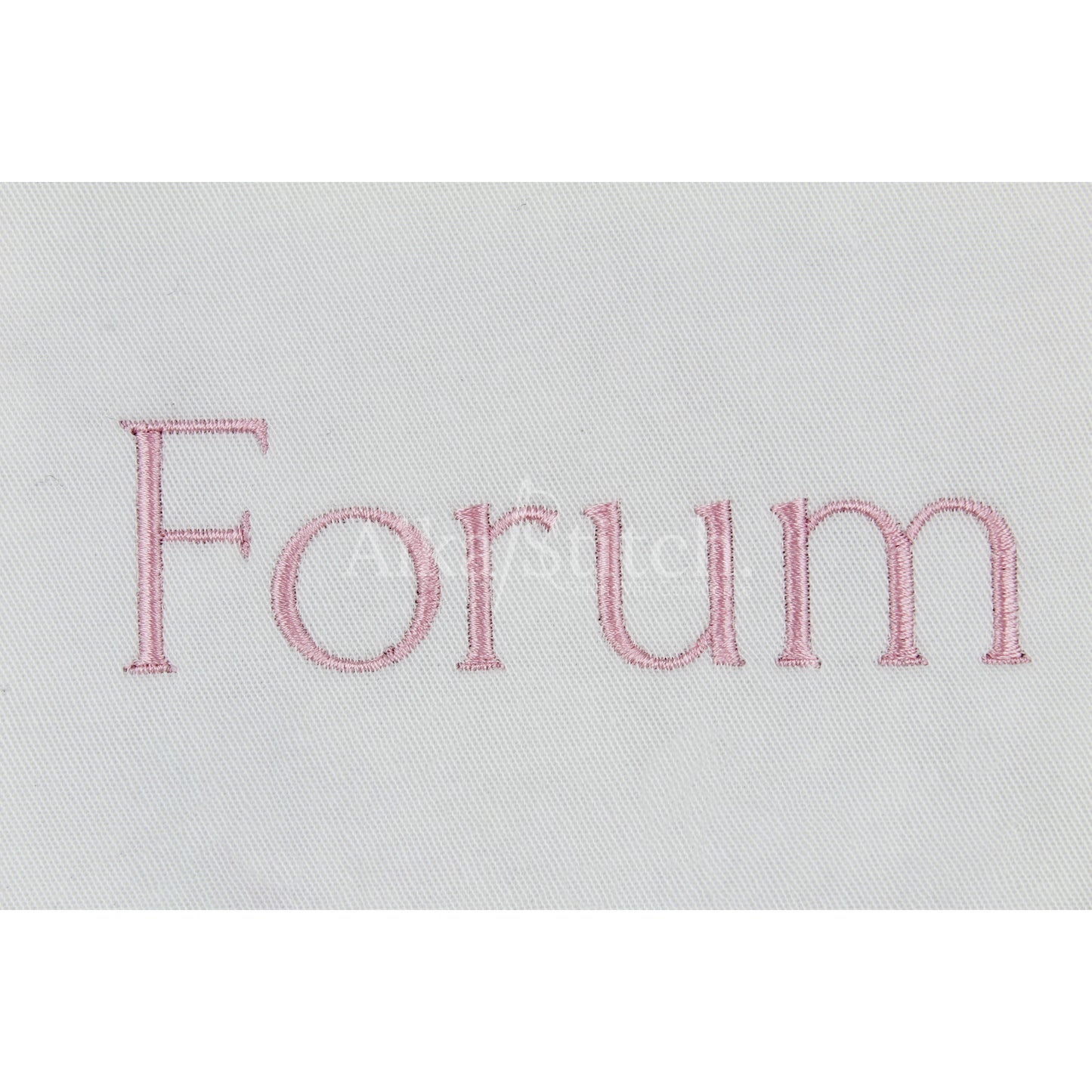 Forum Basic Modern Embroidery Font | Native BX Included