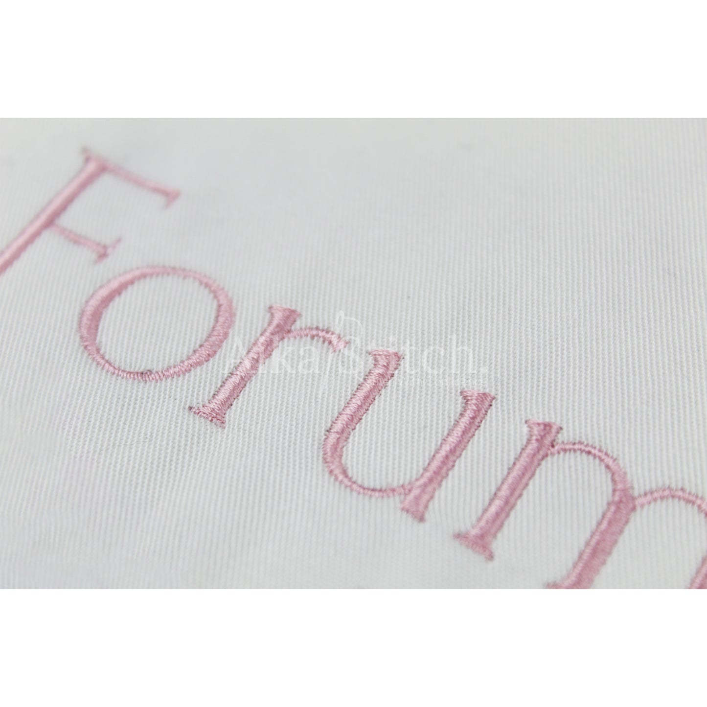 Forum Basic Modern Embroidery Font | Native BX Included