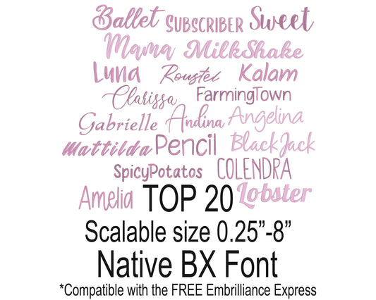 Top 20 Native BX Embroidery Fonts - Satin Stitch Alphabet (0.25-8in)