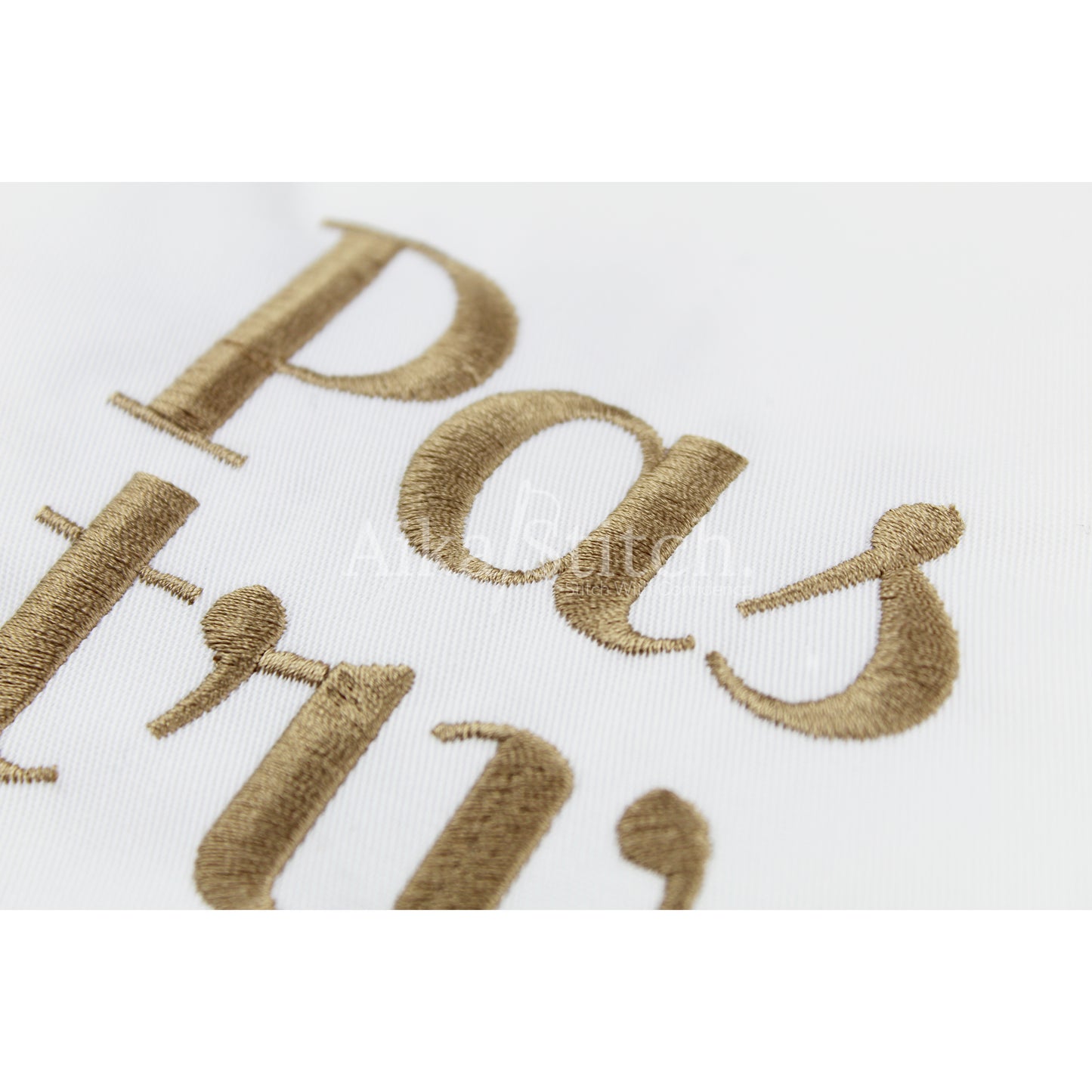 Pastry Script Cursive Embroidery Font | Native BX Included