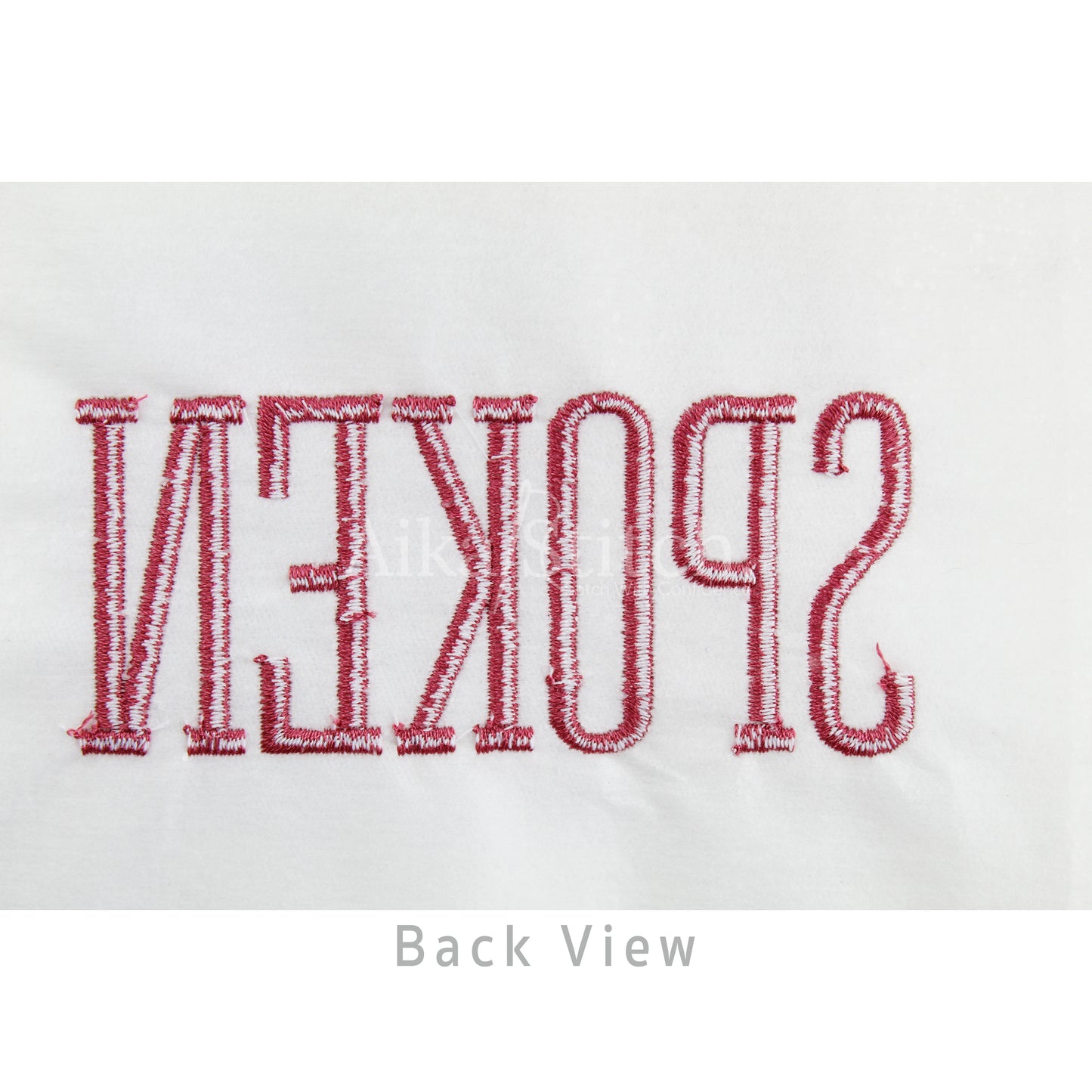 Spoken Modern Simple Embroidery Font | Native BX Included